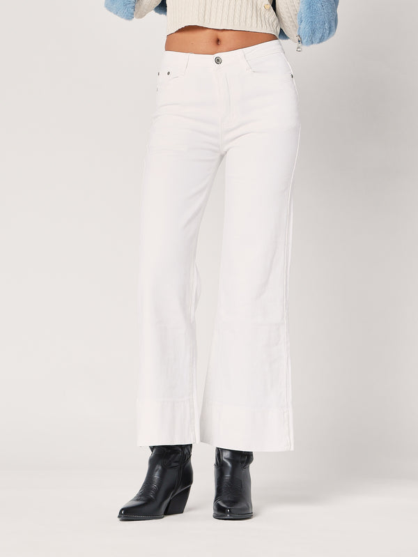 Jeans a zampa